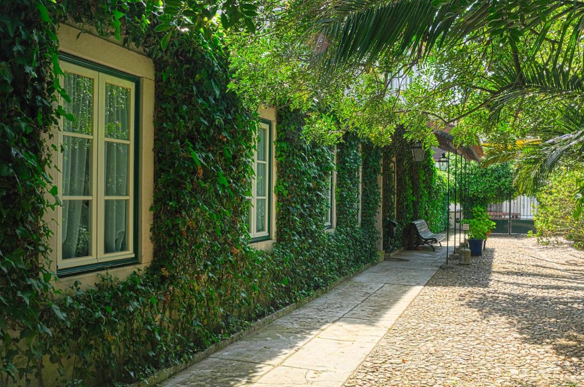 منزل الضيف ريو مايور  في Casa Do Foral المظهر الخارجي الصورة